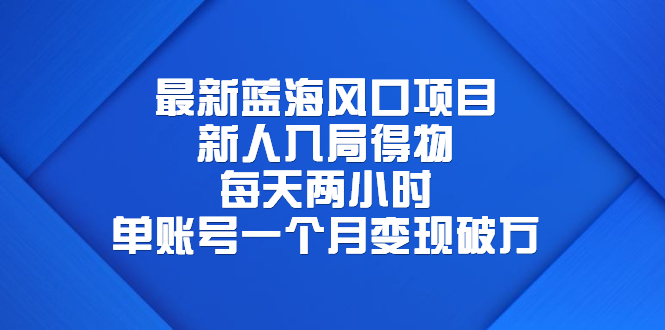 (6514期)最新蓝海风口项目,新人入局得物,每天两小时,单账号一个月变现破万