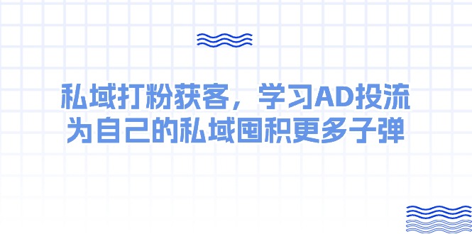 （10728期）某收费课：私域打粉获客，学习AD投流，为自己的私域囤积更多子弹