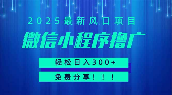 （14375期）微信小程序撸广，最新风口项目，日入300+ 免费分享 可批量操作 小白可…